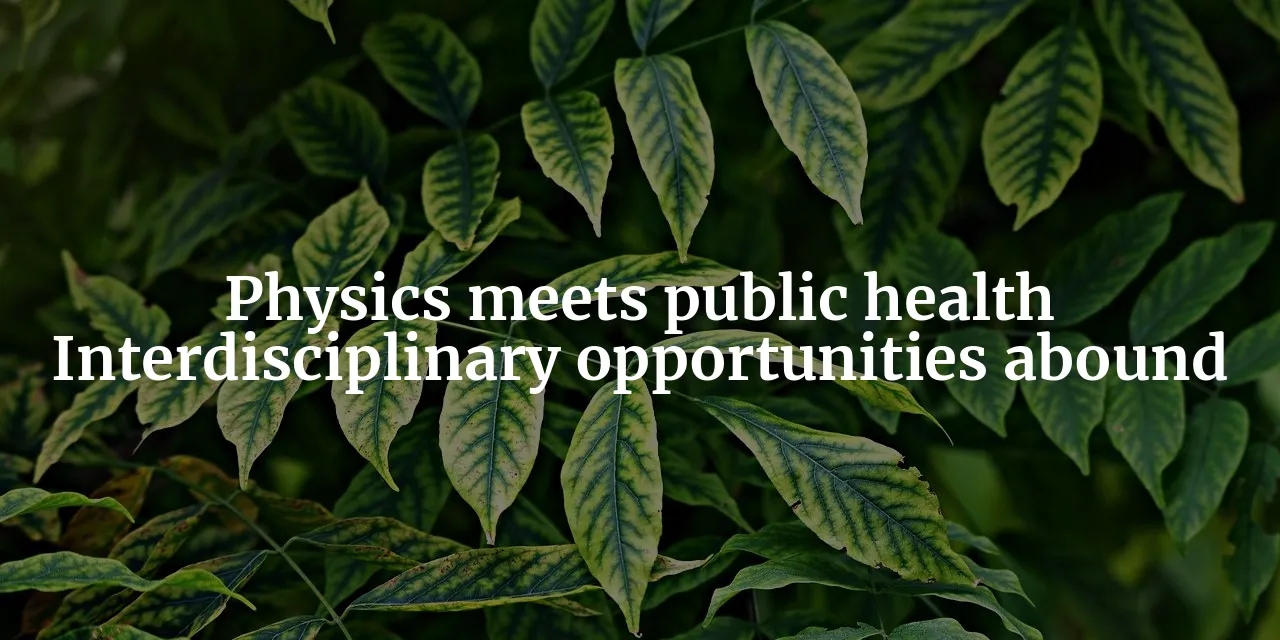 The Physics of Public Health: Exploring Interdisciplinary Research Opportunities for Physics PhD Students